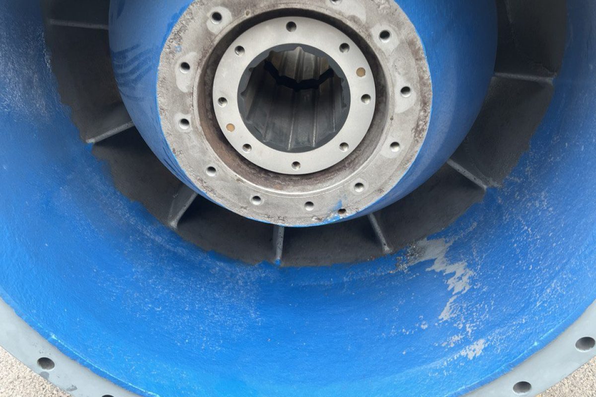 EGICS ALGERIE GALERIE